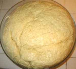 Chocolate Babka Step 4b
