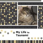 Tsuanmi's Life - My Memories Album Page 1 Tsuanmi's Life - My Memories Album Page 1