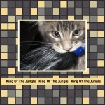 Tsuanmi - King Of The Jungle Tsuanmi - King Of The Jungle