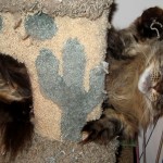 High Five - Legend High Five - Legend