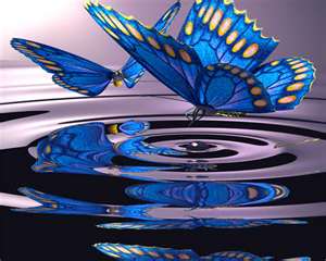 Butterfly Pool - Author Unknown Butterfly Pool - Author Unknown