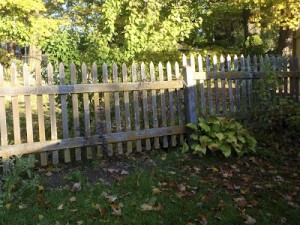 Heather - The Fence - New House New Home New Life Heather - The Fence - New House New Home New Life