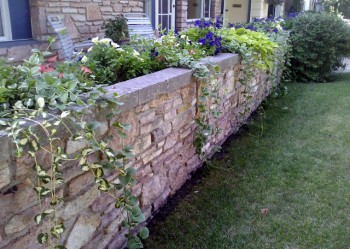 A Student Gardener