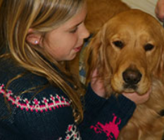 LCC Comfort Dogs