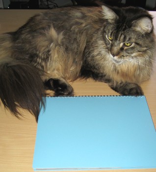 Legend & My New Unaltered Planner