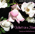 What's In A Name 6