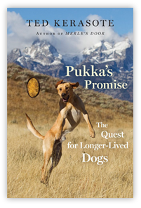 Pukkas Promise