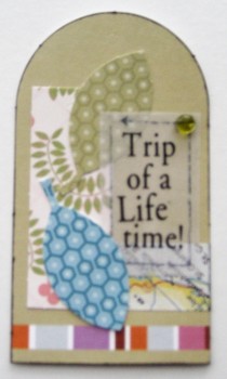 Trip Of A Lifetime Tag
