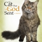 The Cat That God Sent