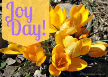 Joy Day