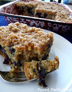 Blueberry Oatmeal Coffee Cake