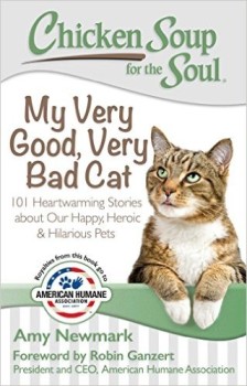 Chicken Soup For The Soul - My Very Good Very Bad Cat