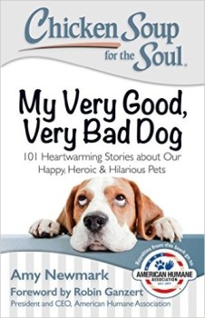 Chicken Soup For The Soul - My Very Good Very Bad Dog