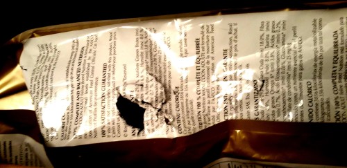 Naughty Cat - Hole In The Bag