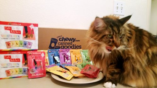Cats-In-The-Kitchen-Create-With-Joy.com-2