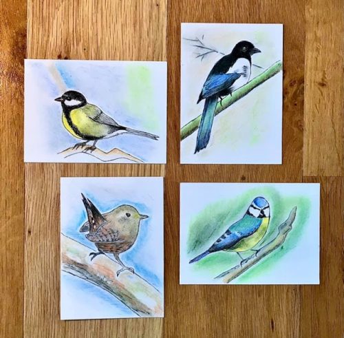 Garden Bird Sketches