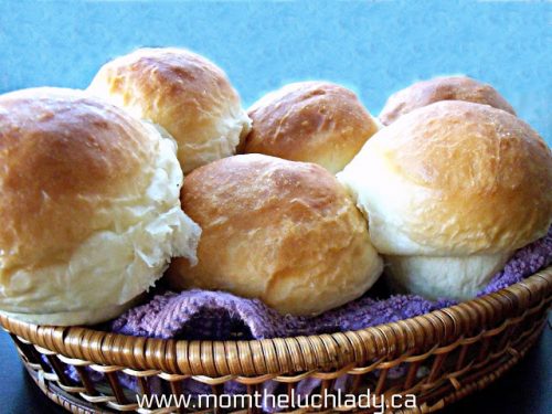 Dinner Rolls