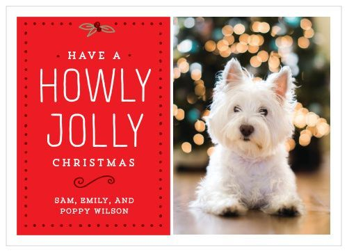 Basic Invite Holiday Card 9